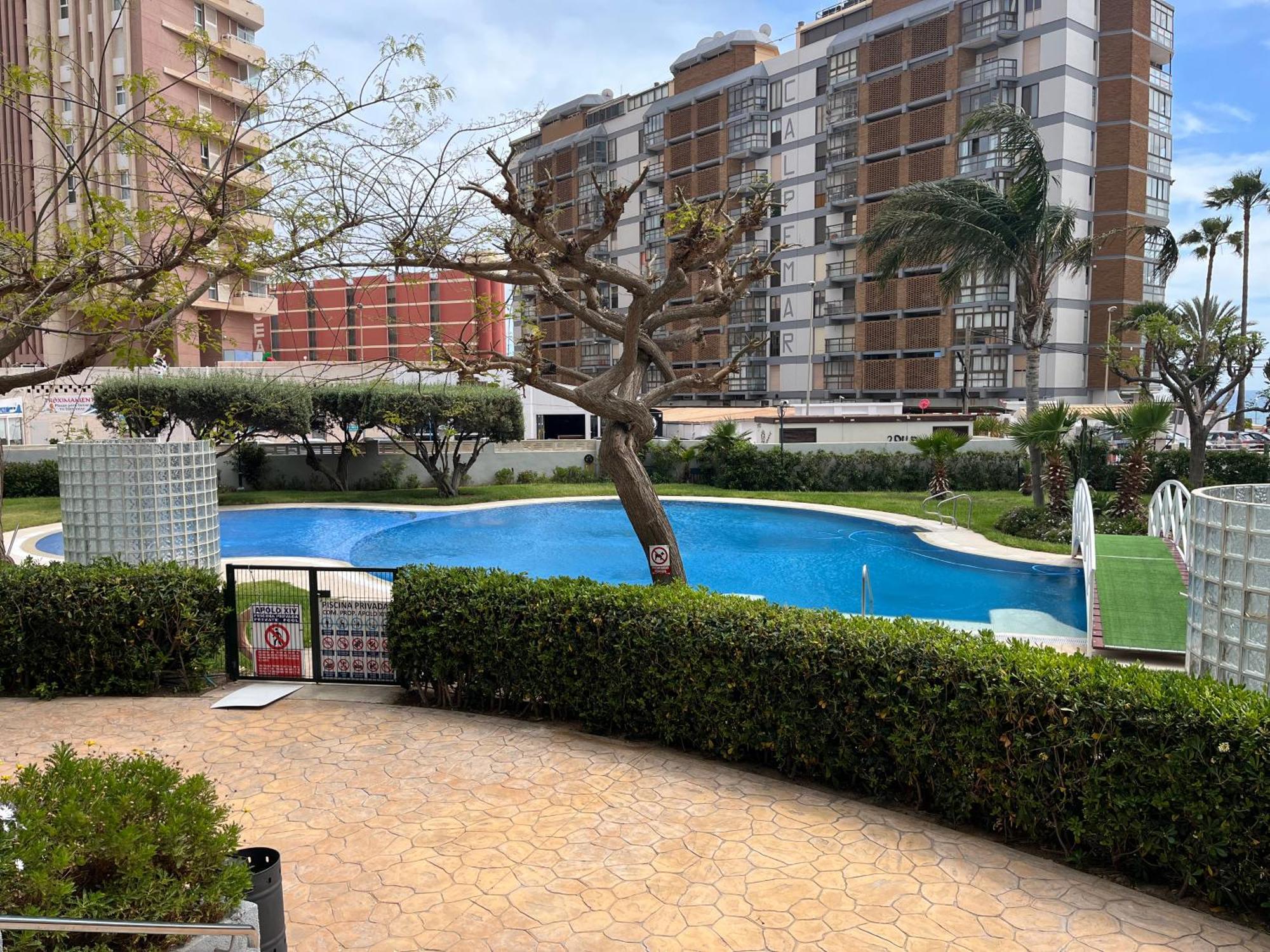 Cozy Apolo Xiv Seaview Apartment *
