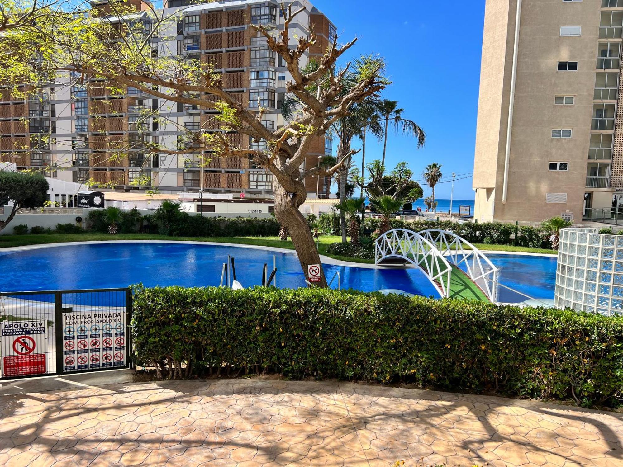 Apartment Cozy Apolo Xiv Seaview *